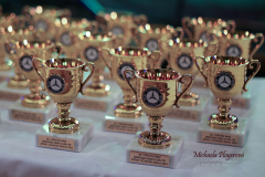 367405715_247871048170977_6594870368291019348_n