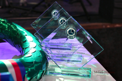 367413612_247870768171005_2697165387336955735_n