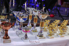 367448931_247871768170905_8212603609082888825_n