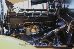 367452853_247873688170713_8910865693452734239_n