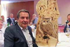 367461064_247875471503868_5227334837132120902_n