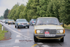 367425661_247877971503618_784125761659250821_n