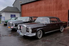 367447960_247879021503513_4047217282046386035_n