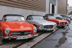 367029929_247865278171554_8047179666909070982_n