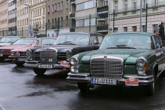 367104620_247866054838143_3420349866818333619_n