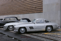 367124157_247864291504986_6146375131389406536_n