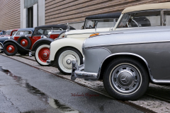 367384967_247865988171483_9042679701984058213_n