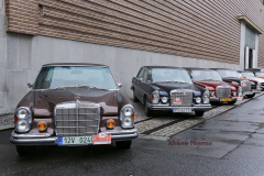 367390722_247865481504867_4719602449001266756_n