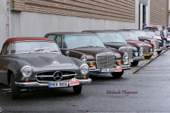 367390923_247865358171546_2928220101316627766_n