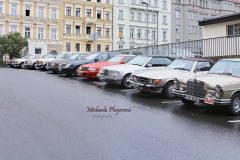 367392134_247864601504955_6278382284234567374_n