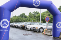 367395876_247865811504834_7539754470089895273_n