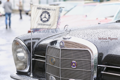 367414565_247863914838357_6734941487848490289_n