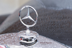 367425315_247864334838315_7032747328311890298_n