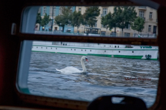 366559529_247860181505397_7849041264515834170_n