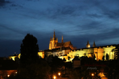 367027499_247862174838531_5329664125294816375_n