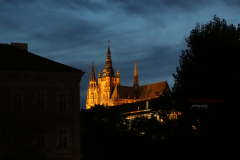 367389635_247853894839359_2549269459066967259_n