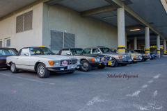 366822931_247855648172517_4280969986939179560_n