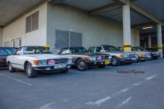 366973586_247855658172516_738662688053483280_n