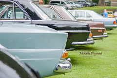 366987358_247856941505721_862858808107797972_n