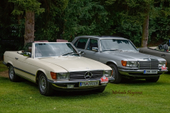 367023522_247855478172534_492984748643348764_n