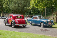 367036678_247856781505737_8236609578844092222_n