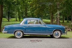 367060552_247856561505759_177236853772506215_n