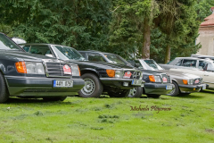 367377009_247855164839232_6477460320754506644_n