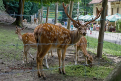 367378361_247855508172531_1403597735275565978_n