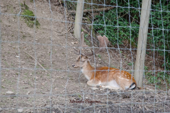 367387880_247854704839278_5475761226727780669_n