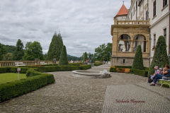 367388031_247854414839307_4509784812244791125_n