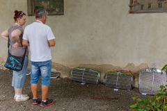 367389181_247858148172267_100485472824877582_n