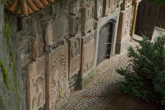 367390291_247854024839346_8273050525239059757_n