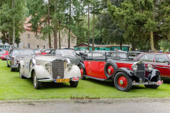 367391234_247857438172338_3211922715868145635_n