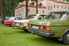 367395010_247856191505796_8037082225859993807_n