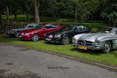 367410612_247853971506018_5953886644350407900_n