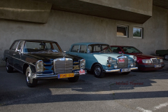 367436350_247854608172621_6889472015104988760_n