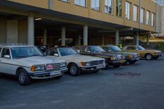 367441830_247855791505836_4901679147562479095_n