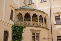 367450882_247854434839305_5767337229350380594_n