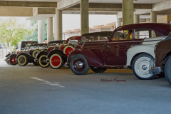 367458012_247855948172487_8975252436639106039_n