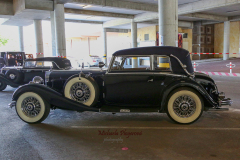 366981078_247718008186281_1909818222383486073_n