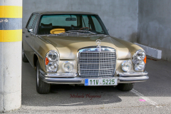 366988330_247718478186234_5925519971819242203_n