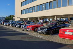 367008553_247723314852417_1526705765650754129_n