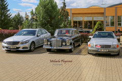 367014368_247719058186176_3318789284873942270_n