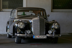 367018635_247714421519973_4453735593009032204_n