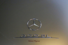 367021779_247719588186123_6206388487026075766_n