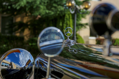 367025532_247721318185950_2744852343874889552_n