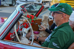 367027330_247725061518909_8088739538925063186_n