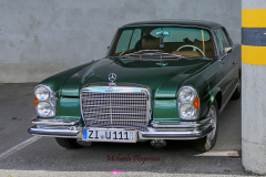 367028752_247715601519855_8294558309056397616_n