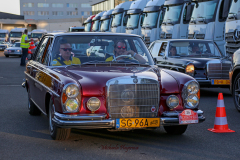 367034900_247724504852298_1121824007134753524_n