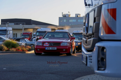 367055018_247724738185608_3312283982571955309_n